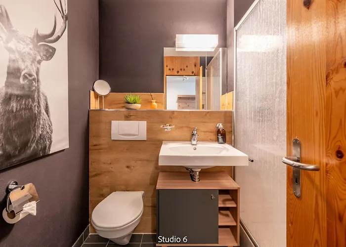 Very With Garage & Smart Tv For Relax & Adventure Lenzerheide